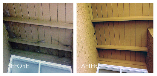 power-washing-dirt-removal-and-spider-webs